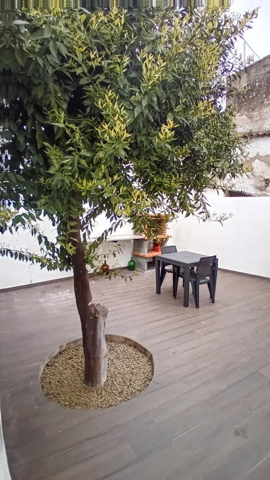 Apartment In Semeador Portalegre Extérieur photo